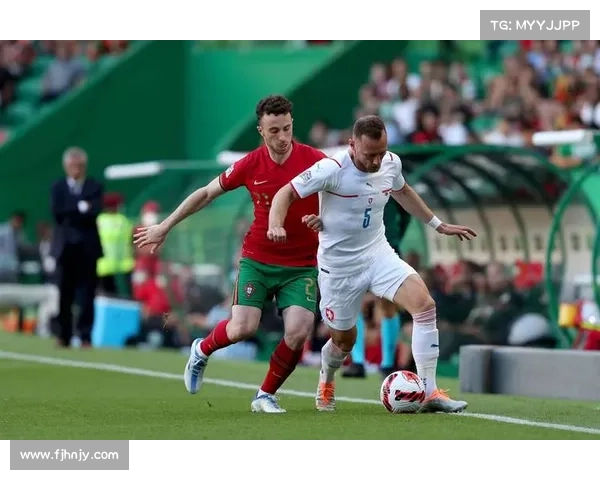 哈谢克执教失利反思与感受:深陷困境的捷克足球未来走向探讨 哈谢克执教失利反思与感受:深陷困境的捷克足球未来走向探讨