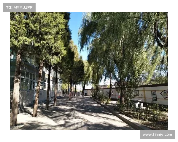 探究巴舒亚伊掌握与使用的多种语言及其背后文化影响因素分析